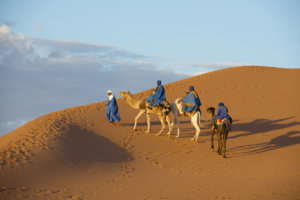 Morocco Escorted Holidays