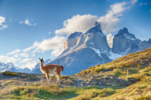 Chile Escorted Trips in Patagonia