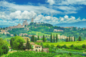 Small Group Tour of Italian Vineyard