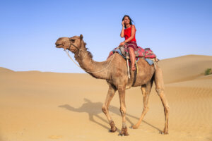 Middle East Escorted Trips