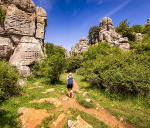 Cultural Treasures of Andalucia