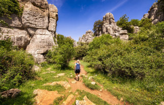 Cultural Treasures of Andalucia