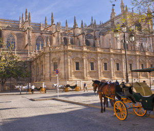 Cultural Treasures of Andalucia