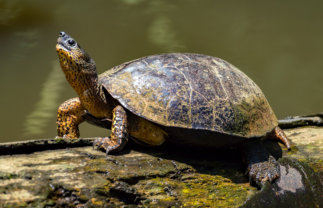 The Best of Costa Rica