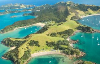 Inclusive Scenic and Cultural Tour of New Zealand