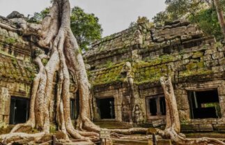 Classic Tour of Cambodia and Vietnam with Mekong Cruise