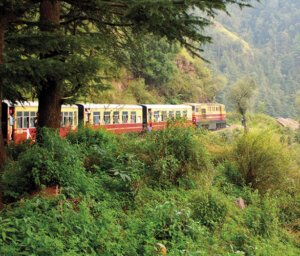 Amazing Value India Rail Tour