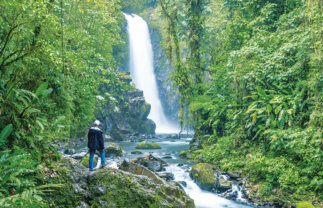 Birdwatching in Costa Rica