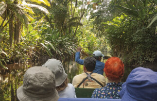 Ecuador: Andes, Amazon and Galapagos Islands