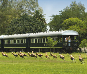 Victoria Falls, Rovos Rail, Botswana Safari, South Africa