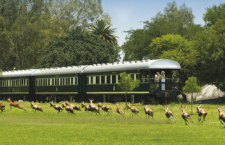 Victoria Falls, Rovos Rail, Botswana Safari, South Africa