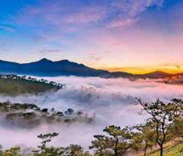 Two-Week Best of Vietnam Cultural and Scenic Tour