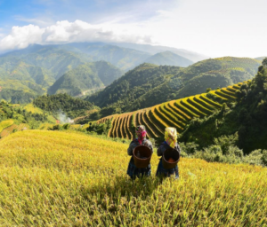 Great Value Luxury Vietnam Tour