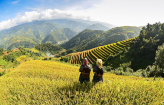 Great Value Luxury Vietnam Tour