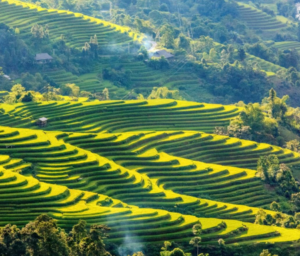 Vietnam & Cambodia Tour with Rural Farms