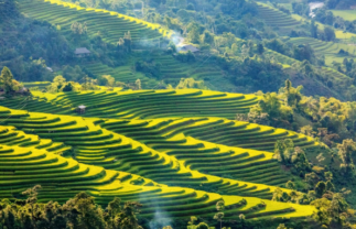 Vietnam & Cambodia Tour with Rural Farms