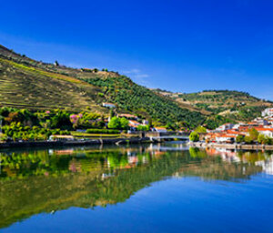 Douro Valley Cultural and Wine Tour