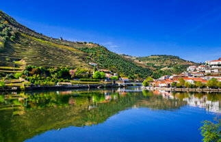 Douro Valley Cultural and Wine Tour