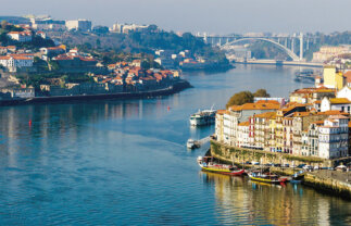 Douro Valley Cultural and Wine Tour