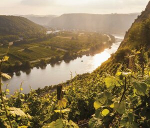 Jazz and Wine on the Rhine and Moselle