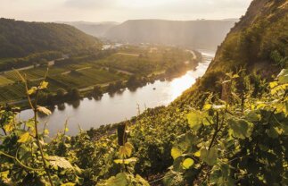 Jazz and Wine on the Rhine and Moselle