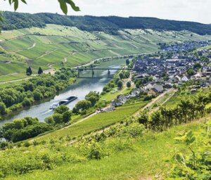 Rhine and Moselle Jazz and Wine Solos Cruise