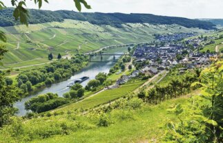 Rhine and Moselle Jazz and Wine Solos Cruise