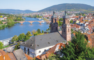 Rhine and Main Cruise for Solo Travellers