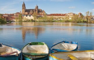 Inclusive Cultural Douro Cruise