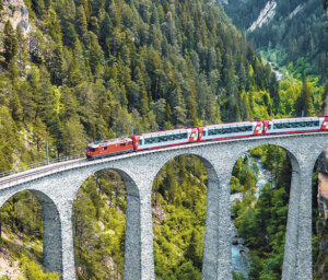 Rhine Cruise and Glacier Express