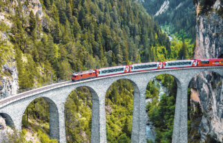 Rhine Cruise and Glacier Express to Montreux