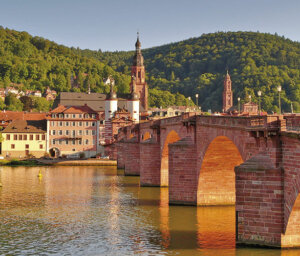 Rhine History and Vineyards Cruise