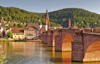 Rhine History and Vineyards Cruise