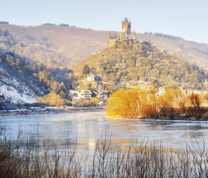 New Year Rhine Cruise