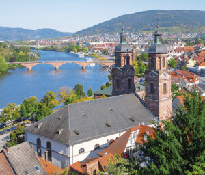 Cultural River Cruise of the Middle Rhine and Main