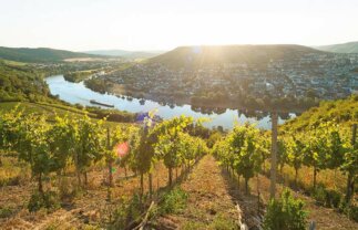 Spring Rhine Cruise for Solo Travellers