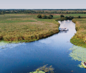 Birdwatching Danube Delta River Cruise