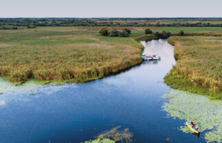 Birdwatching Danube Delta River Cruise