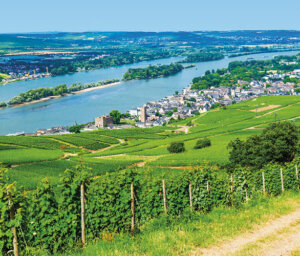 Wine Rivers of Rhine and Moselle, 14 Nights