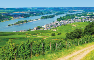 Wine Rivers of Rhine and Moselle, 14 Nights