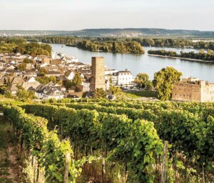 Middle Rhineland River Cruise