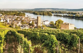 Middle Rhineland River Cruise