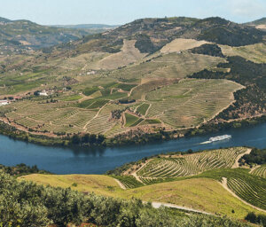 Walking the Douro