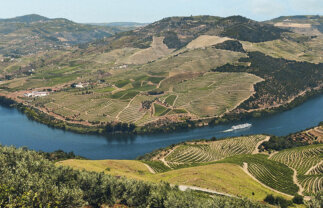 Walking the Douro