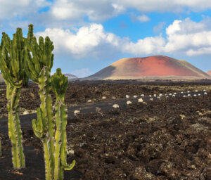 Lanzarote Walking Winter Holiday