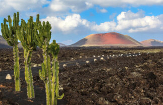 Lanzarote Walking Winter Holiday