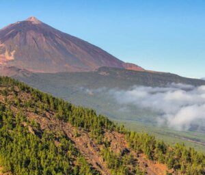 Canary Islands Walking – La Gomera and Tenerife