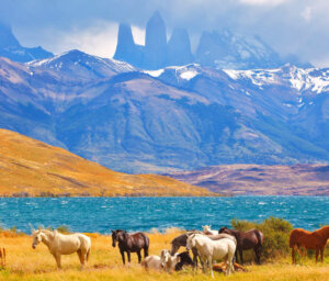 Scenic Wonders of Peru