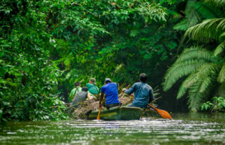 Ecuador Amazon Extension