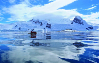 Naturalist Boat Tour of Antarctica